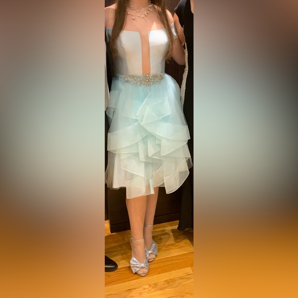 Terani Couture dress